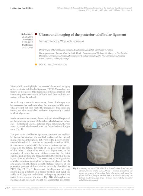 Ultrasound imaging of the posterior talofibular ligament